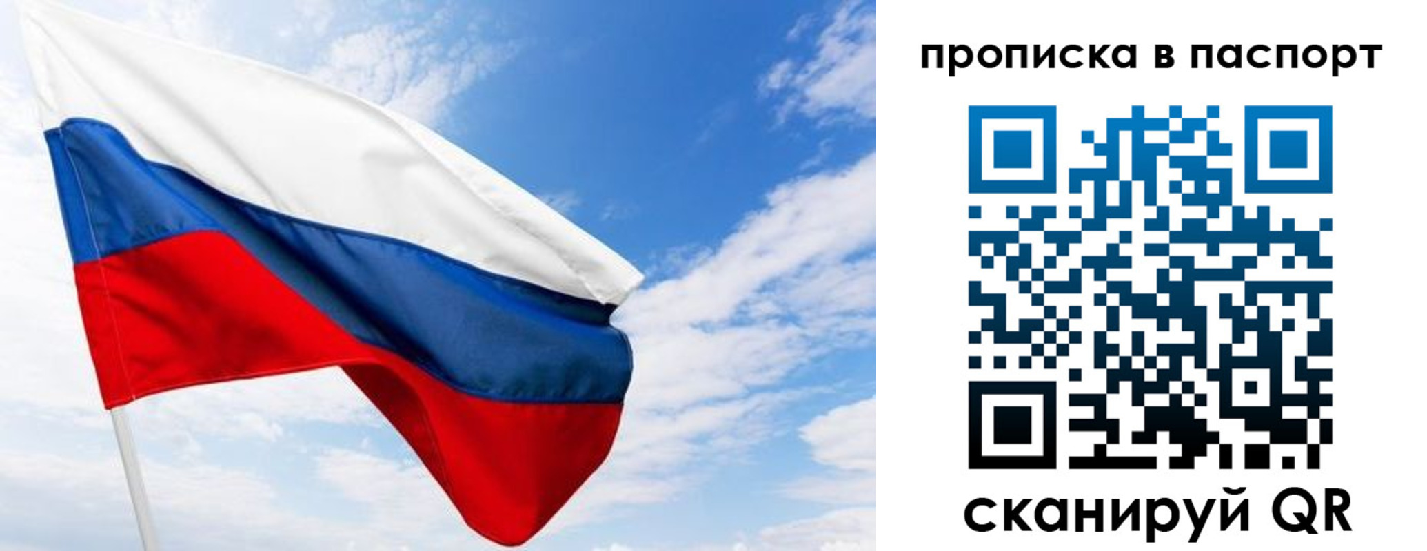 прописка поиск в Камышлове